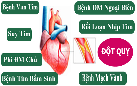 Thảo Dược Trị Bệnh Tim Mạch
