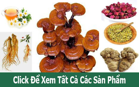 Tìm Sản Phẩm Theo Tên Thuốc