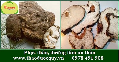 Phục thần - dưỡng tâm an thần