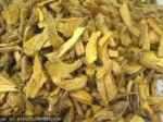 20 bài thuốc chữa đau lưng