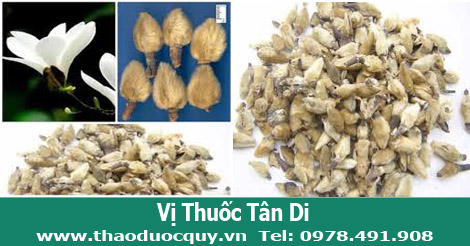 Vị thuốc t&acirc;n di